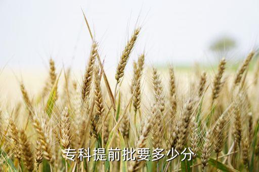 專科提前招生分數占比，專科提前批要多少分...